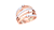Akari Rose Gold Ring 