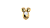 Kazue Nose Pin 